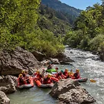 Adventure Forest Castellane