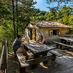 Adventure Forest خيمة فخمة