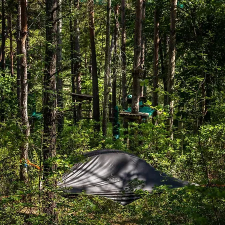 Luxury tent Adventure Forest Castellane
