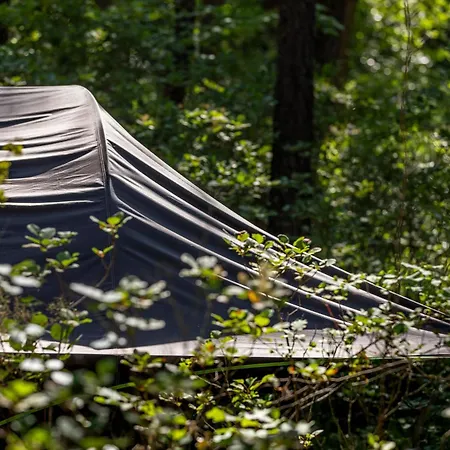 Luxury tent Adventure Forest
