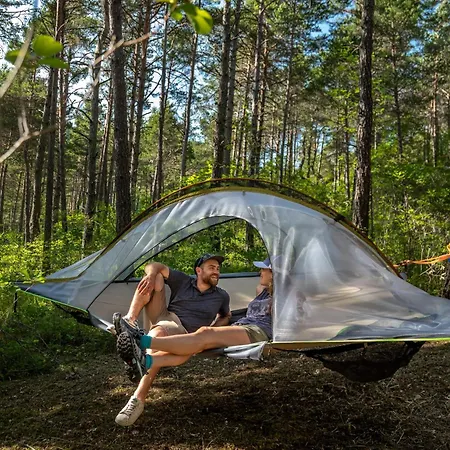 Adventure Forest
