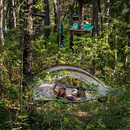 Adventure Forest Luxuszelt Castellane