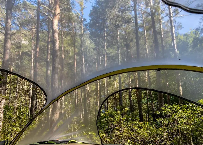 Tente de luxe Adventure Forest Castellane