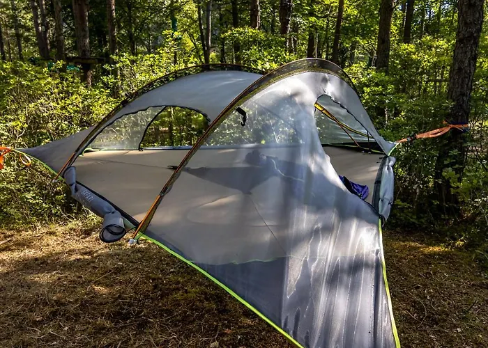 Adventure Forest Castellane