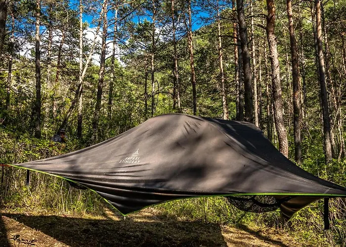 Adventure Forest Castellane